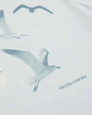 1989 (Taylor’s Version) Seagull Boxy T-Shirt